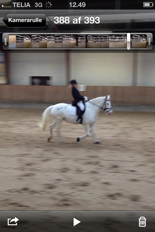 Connemara Mosedals Snowflake billede 18