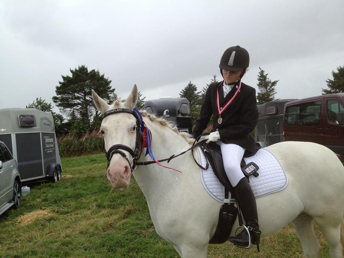 Connemara Mosedals Snowflake billede 19