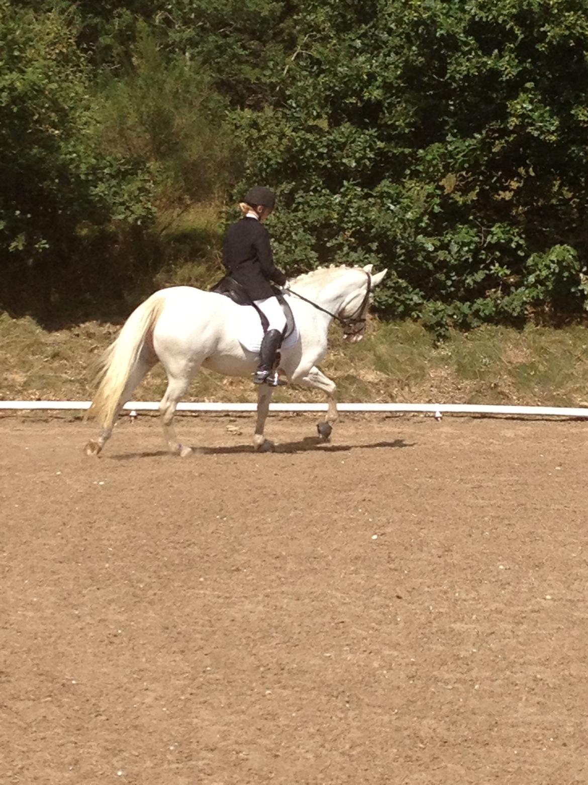 Connemara Mosedals Snowflake billede 21