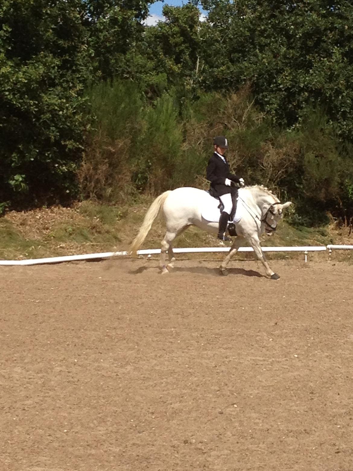 Connemara Mosedals Snowflake billede 22