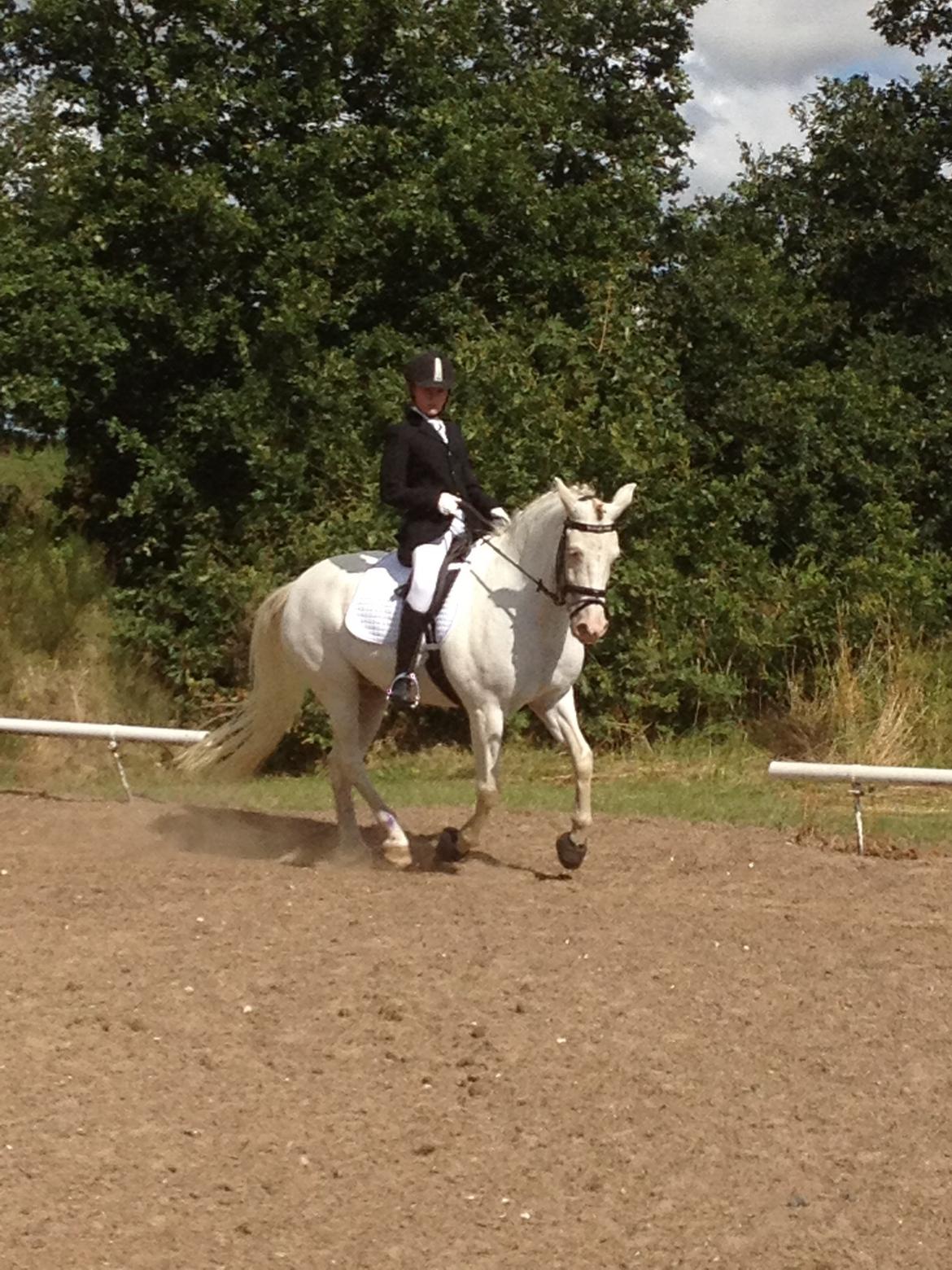 Connemara Mosedals Snowflake billede 23