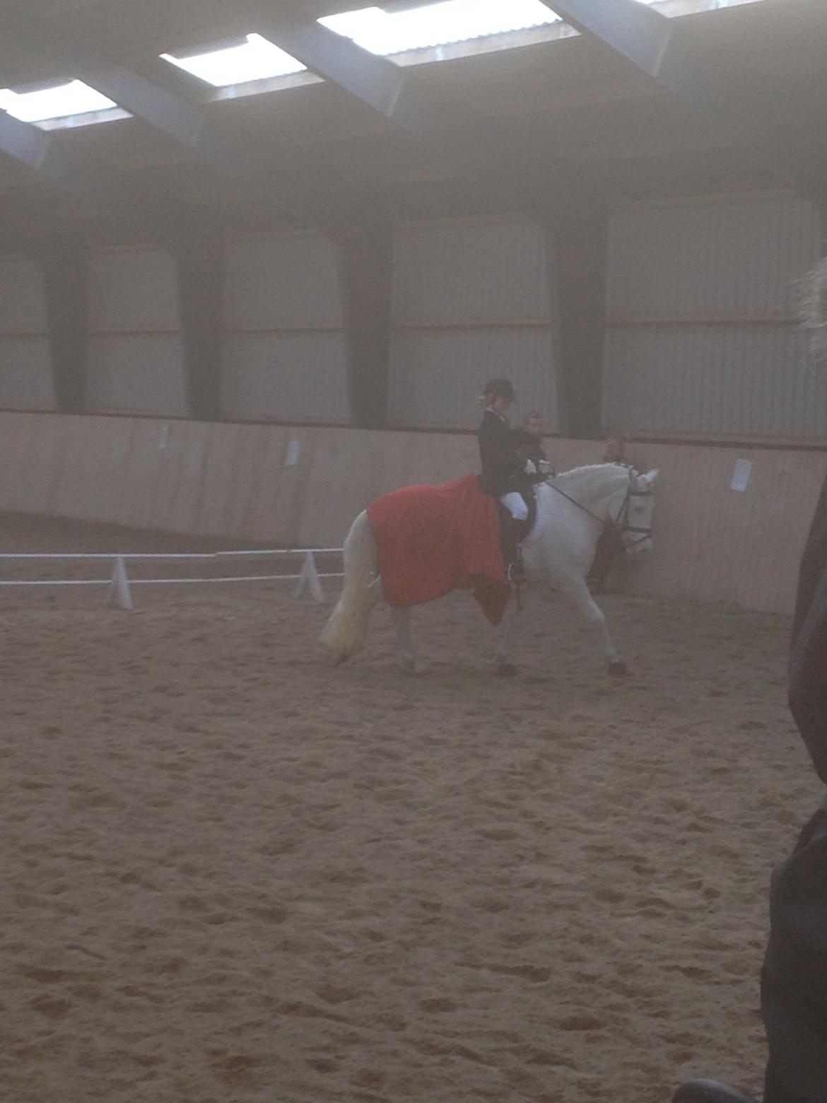 Connemara Mosedals Snowflake billede 27