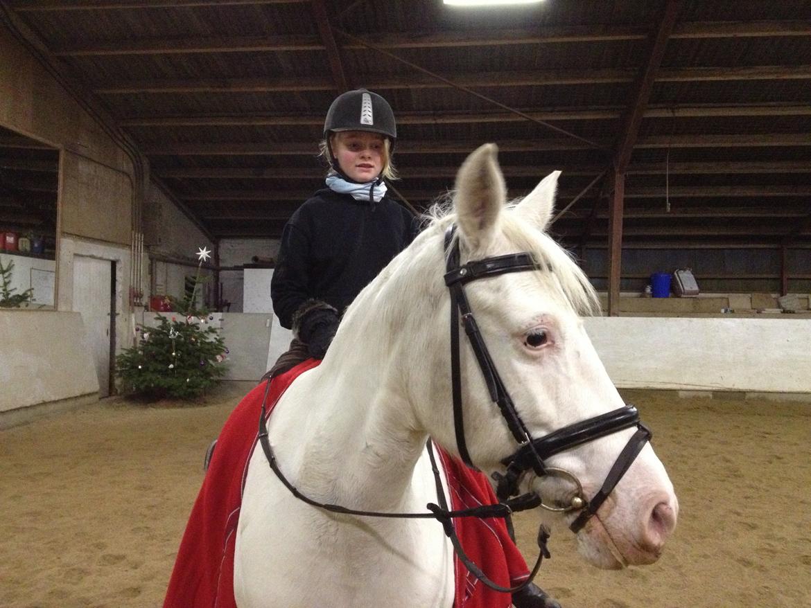 Connemara Mosedals Snowflake billede 28