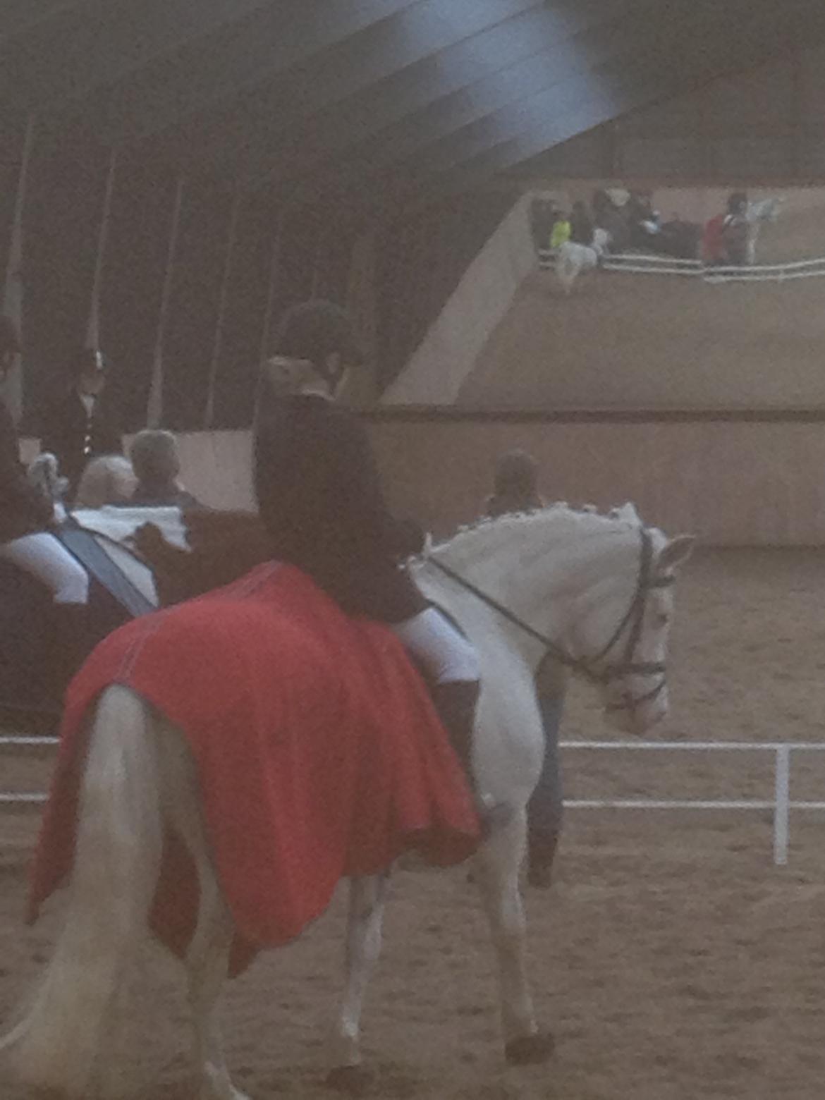 Connemara Mosedals Snowflake billede 30