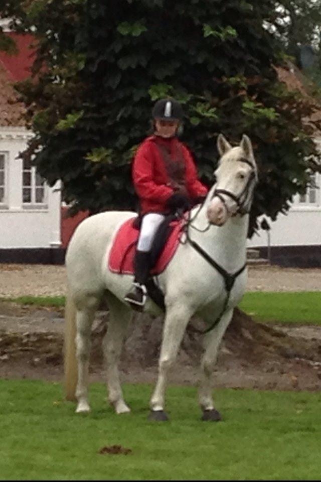 Connemara Mosedals Snowflake billede 36