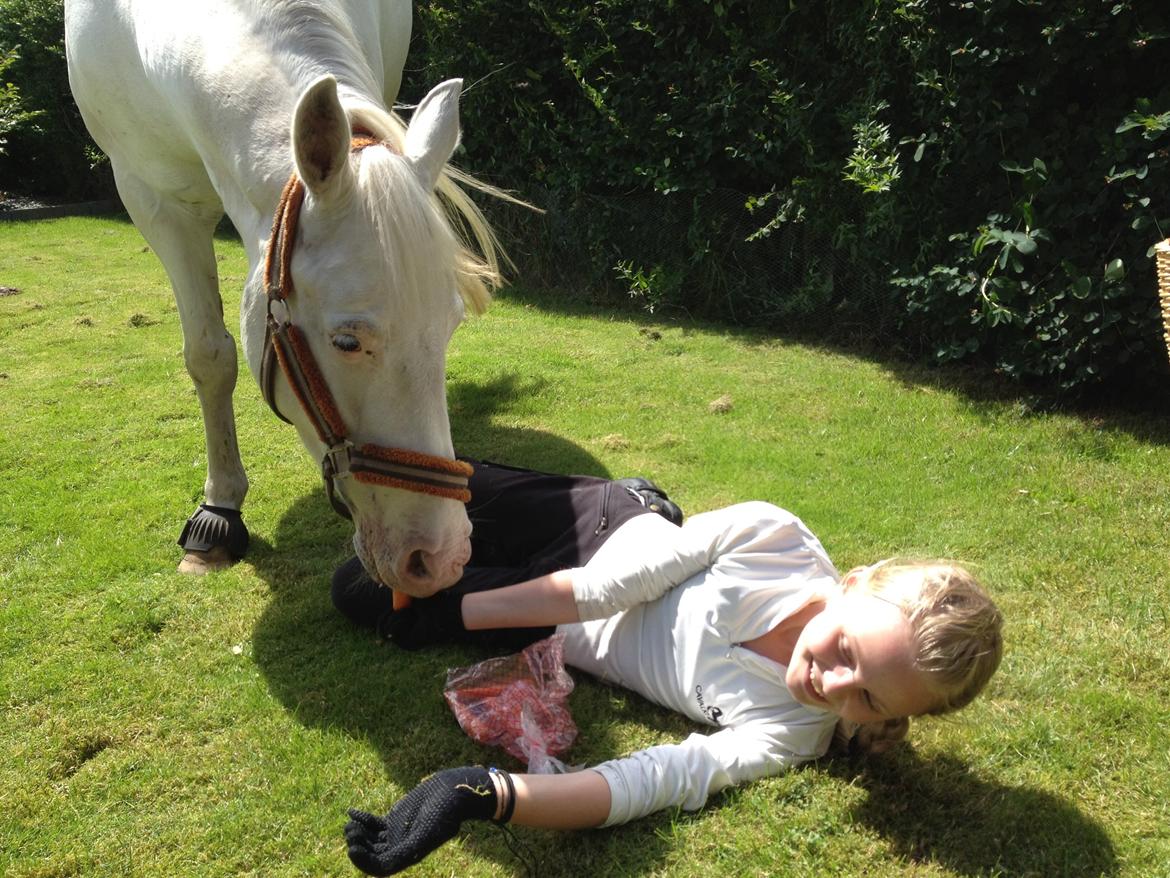 Connemara Mosedals Snowflake billede 38