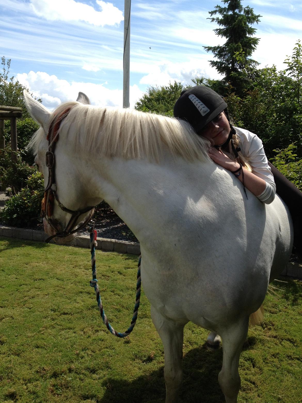 Connemara Mosedals Snowflake billede 39