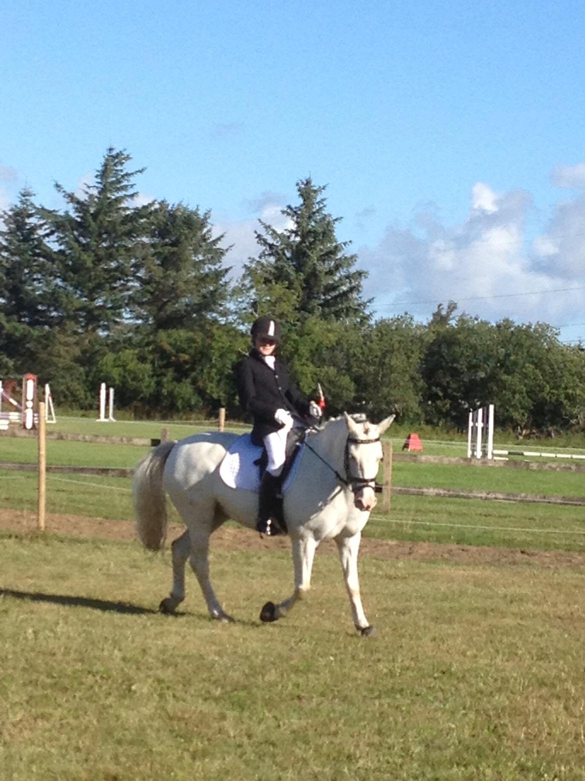 Connemara Mosedals Snowflake billede 44