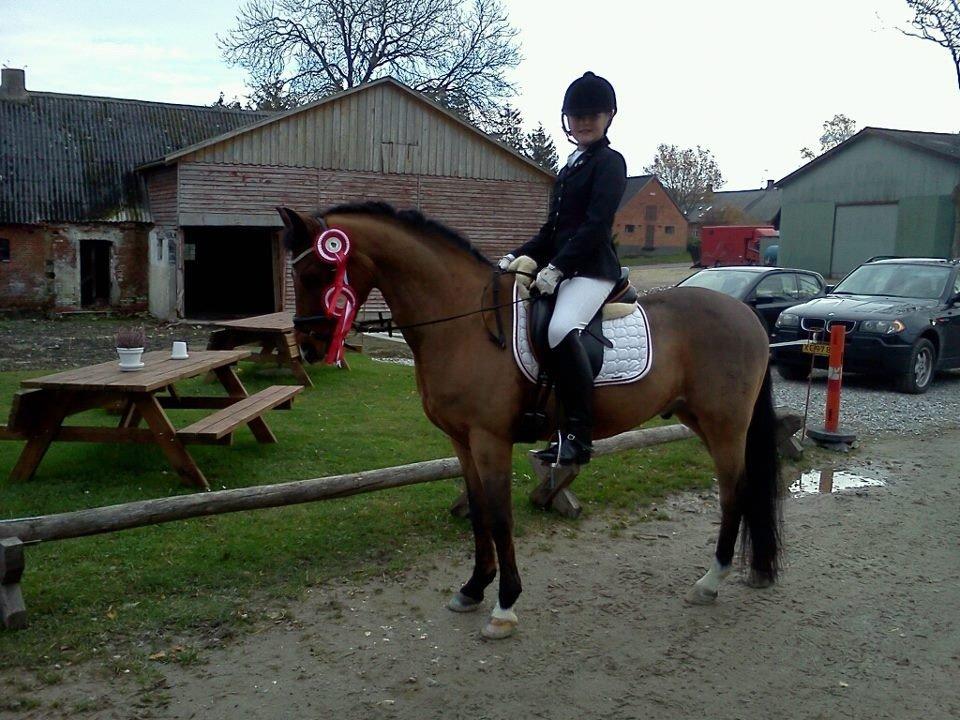 DSP Ambrosius A.M. billede 12