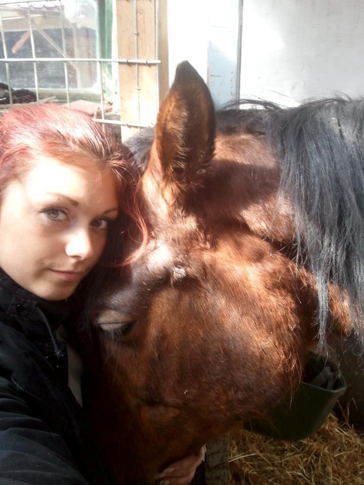 Welsh Partbred (Sec F) Got2Bee - Sød hest der sover i mors arme efter tandlægebesøg  billede 21