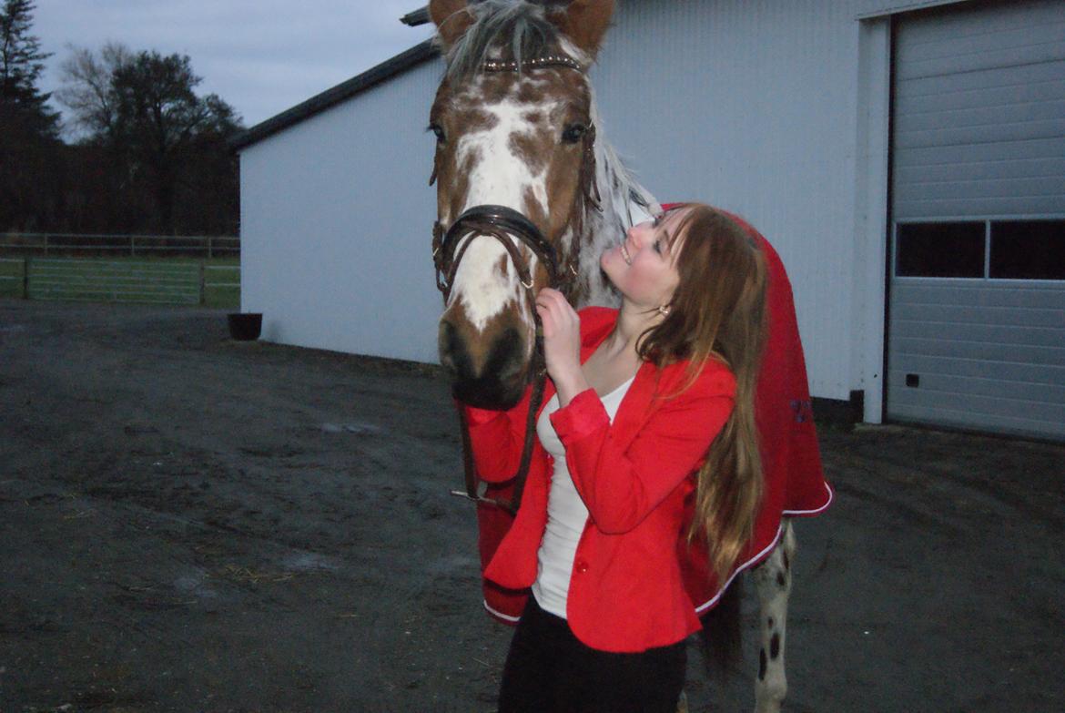 Knabstrupper Coco - Coco og jeg.
Dagen inden det endelige farvel <3  billede 19