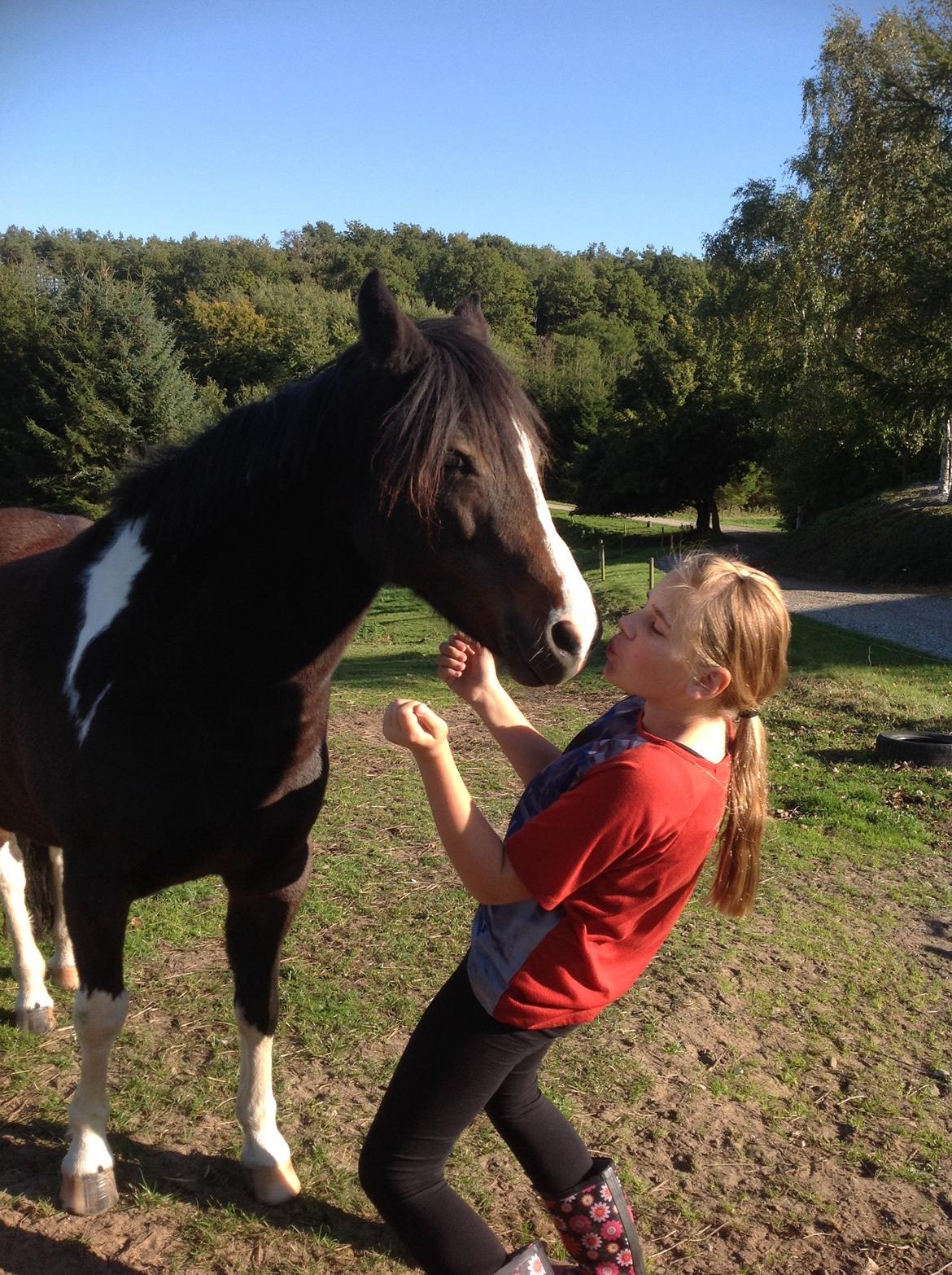 Pinto Mørkbaks pyia<3 billede 21