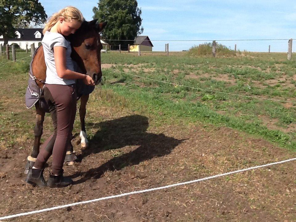 DSP Ambrosius A.M. billede 13