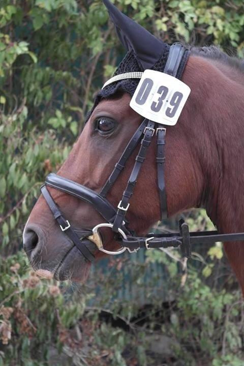 DSP Ambrosius A.M. billede 15