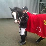 Anden særlig race Gazel A- pony