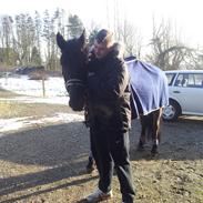 Anden særlig race Laika ( min prinsessen <3 ) død