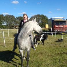 Pura Raza Española Javito 1  *Min Darling* <3 :*