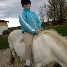 Anden særlig race Tessa