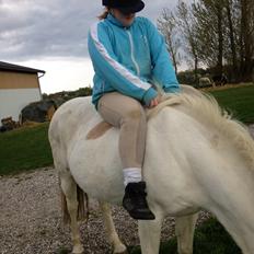 Anden særlig race Tessa