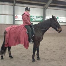 Anden særlig race Bella