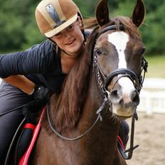 Anden særlig race Honey (Har redet)