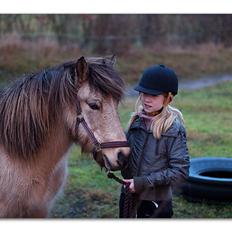 Islænder Goðadís frá Lárkoti