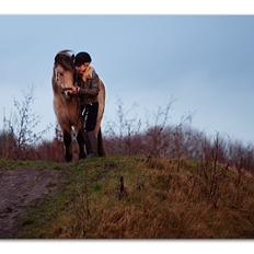 Islænder Goðadís frá Lárkoti