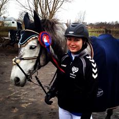 Connemara Thornbrook Star