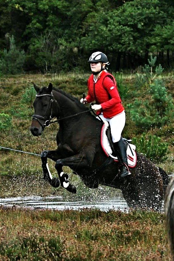 DSP Day-lights naomi - Når ponyen bare er for sej!!
Kompedal jagt 15/09/2013
hun var jo så dygtig og fejlfri:) billede 15