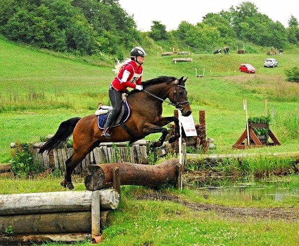 DSP Day-lights naomi - Første Military cncp 80<3
Skårup overgård 
fik dsv et "stop" da hun gled pga regnen og vi måtte lave en volte:)
Det var første gang hun var på en rigtig terræn bane så er så stolt at hende! billede 17