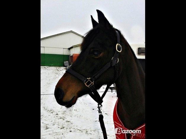 DSP Day-lights naomi - Juledag:) billede 34