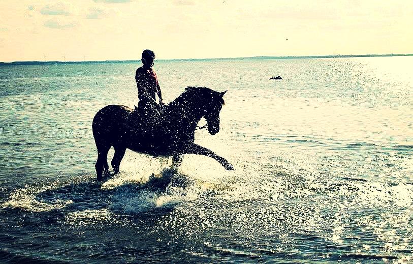 Hollandsk Sportspony JOLANDA SOLGT <3 - Jolanda og jeg på stranden i sommerferien billede 13