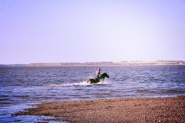 Hollandsk Sportspony JOLANDA SOLGT <3 - Jolanda ude i det højere vand:^)
Det var så sjovt<3 billede 31