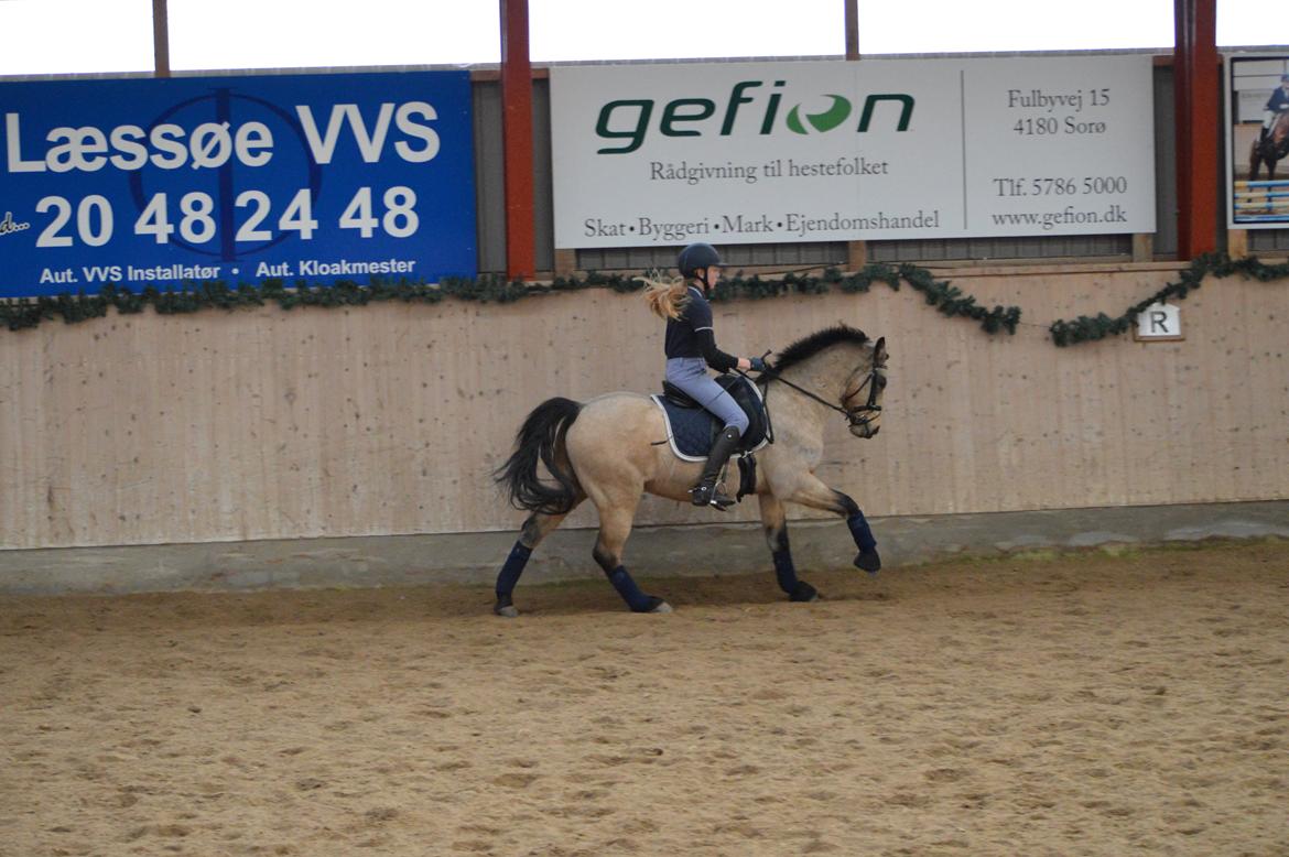 DSP Toojour (Tutter) billede 20