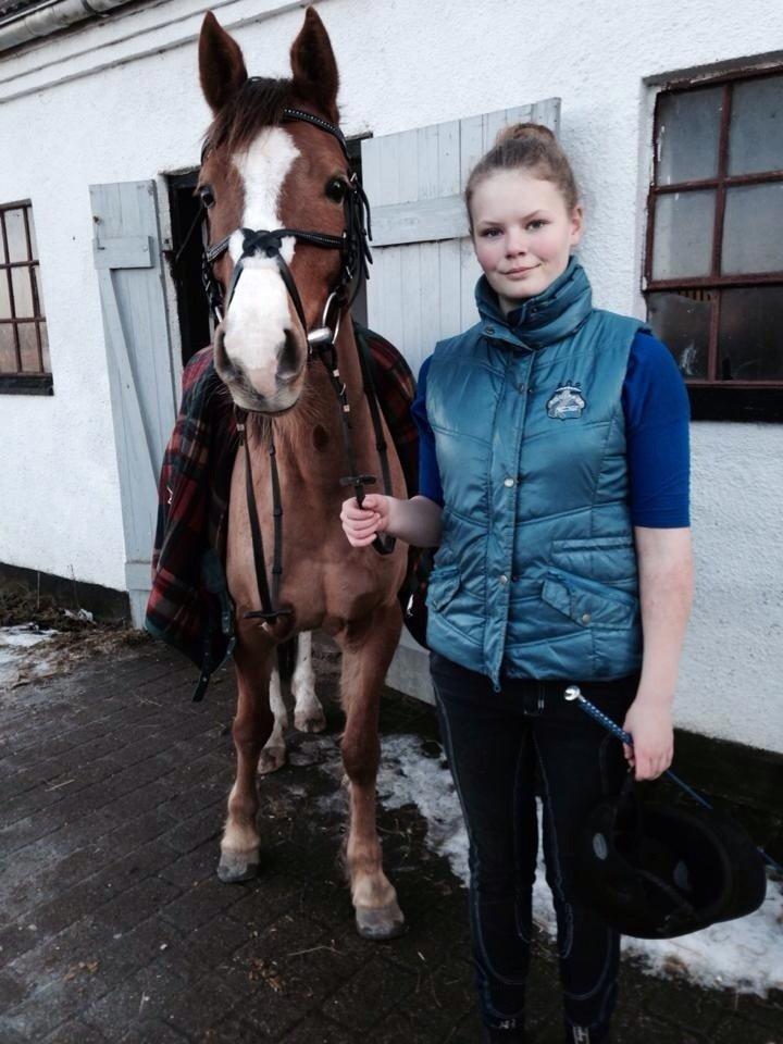 DSP Thorslunds Sunny Boy - Før ridningen <3 billede 9