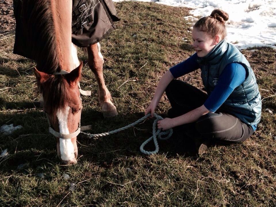 DSP Thorslunds Sunny Boy - Sødeste pony <3 billede 11