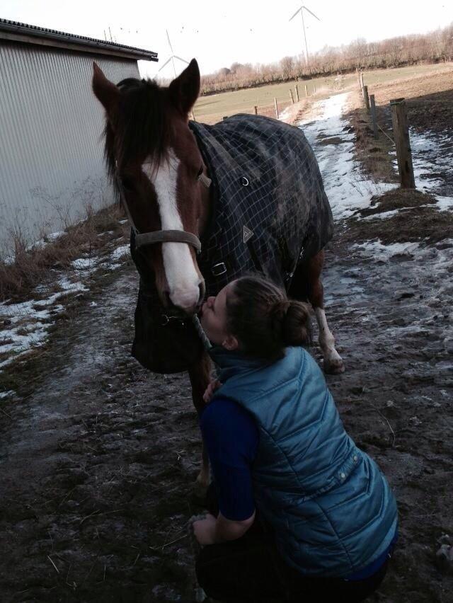 DSP Thorslunds Sunny Boy - <3 billede 20