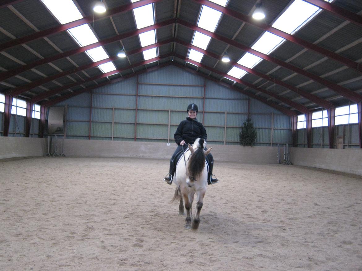 Fjordhest Ronja rud - se hvor fin vi er :-) billede 1