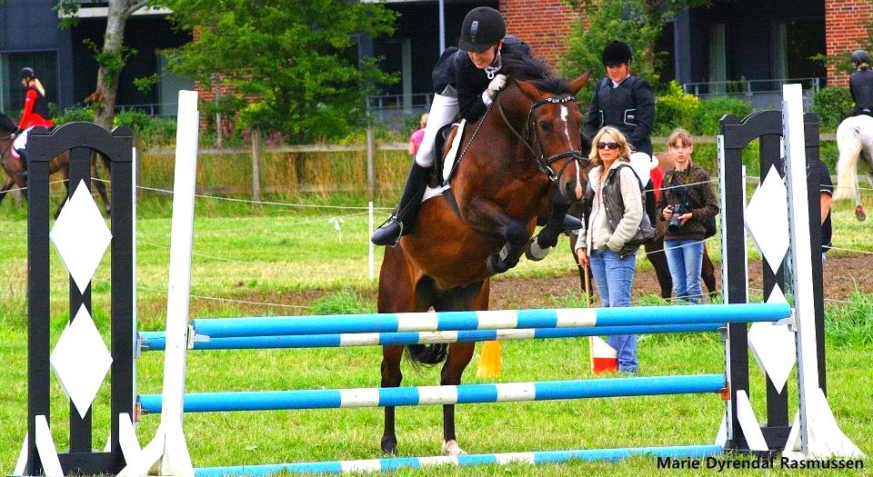 Anden særlig race Solbakkens Lukas - ponyuge :-)
 billede 10