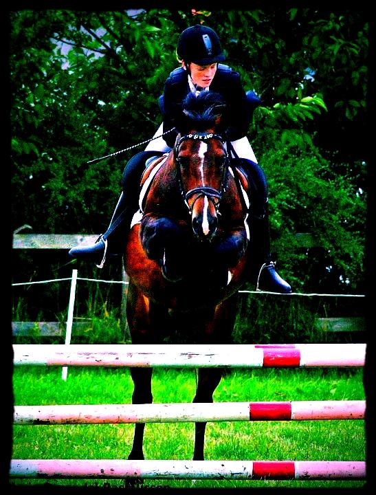 Anden særlig race Solbakkens Lukas - Ponyuge :-) billede 6