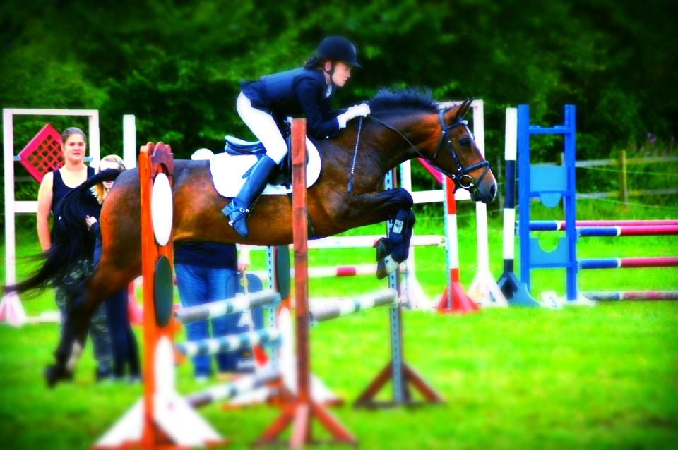 Anden særlig race Solbakkens Lukas - ponyuge :-)
Fotograf josefine randrup jensen billede 8