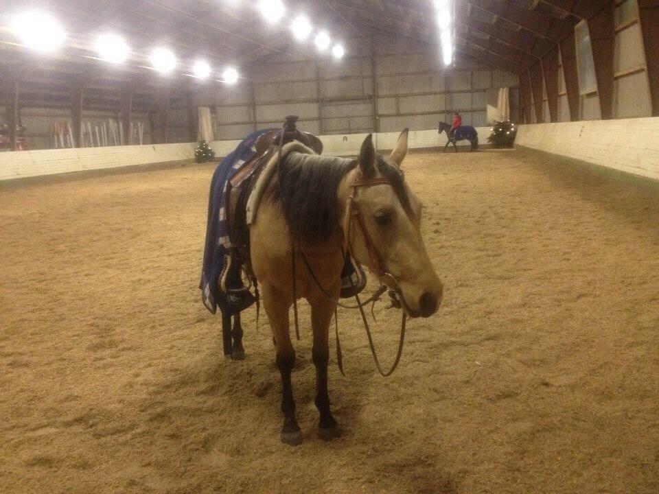 Quarter Pocos flying Girl  billede 4