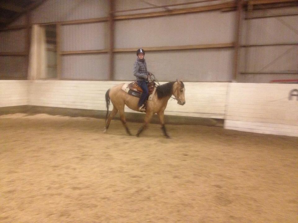 Quarter Pocos flying Girl  billede 5