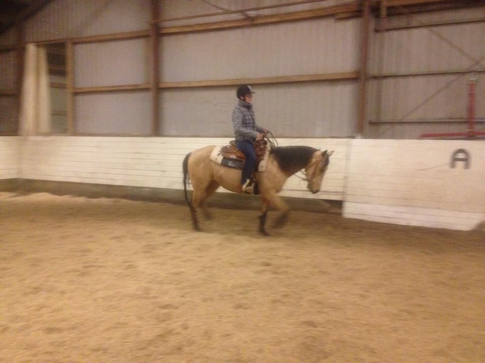 Quarter Pocos flying Girl  billede 9