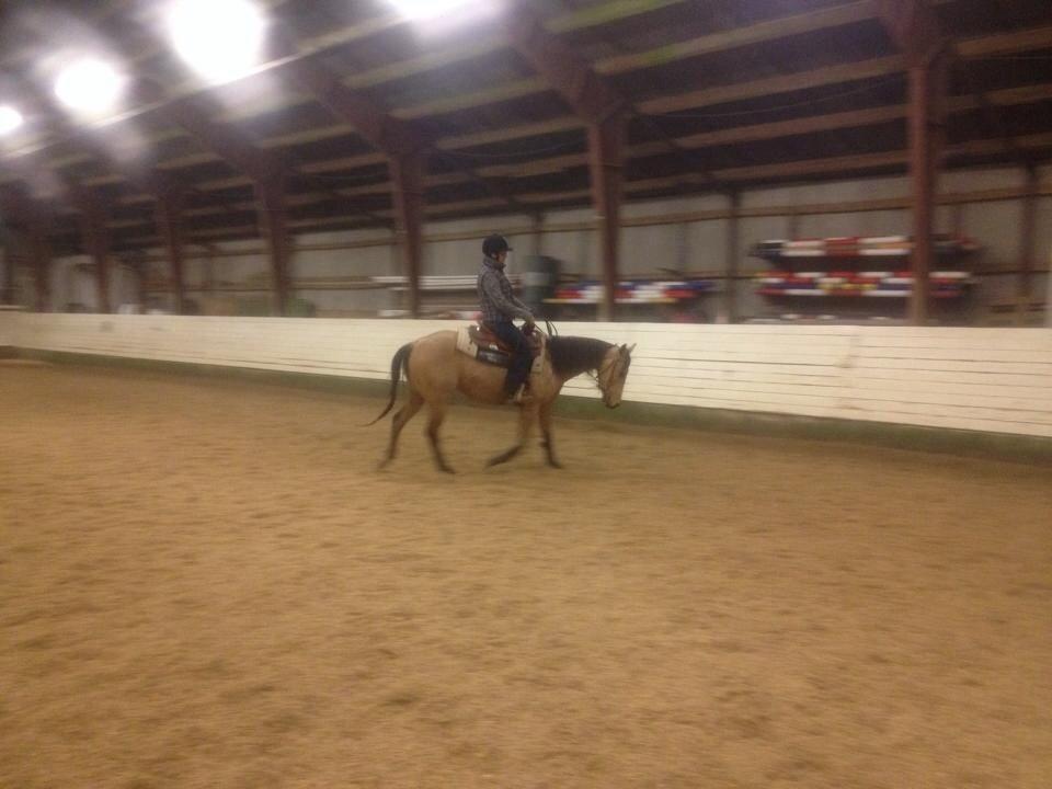 Quarter Pocos flying Girl  billede 10