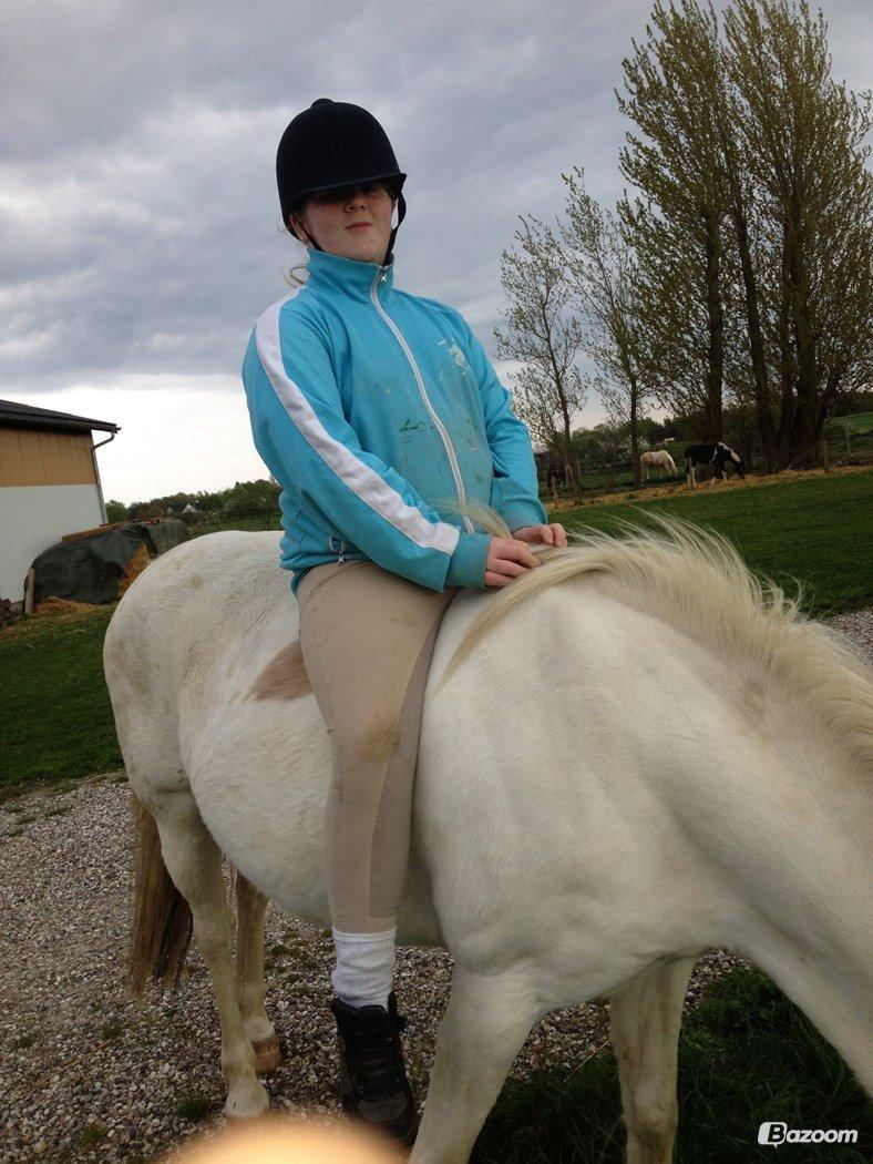 Anden særlig race Tessa billede 2