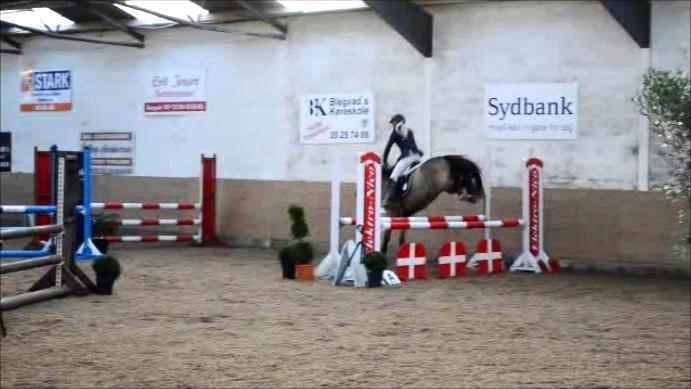 New Forest Staldbakkens Tic-Tacs - Det er godt at have overskud :') LA** billede 2