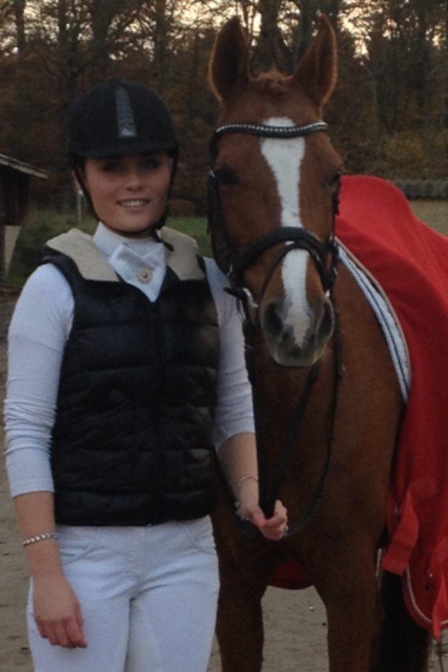 Arabisk fuldblod (OX) Svalebo's Donna billede 10