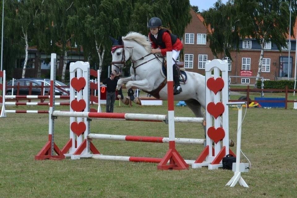 Anden særlig race Silver <3  - LB2** til Ponyugen 2013, min stjerne! <3 Foto: Maiken Madsen billede 16