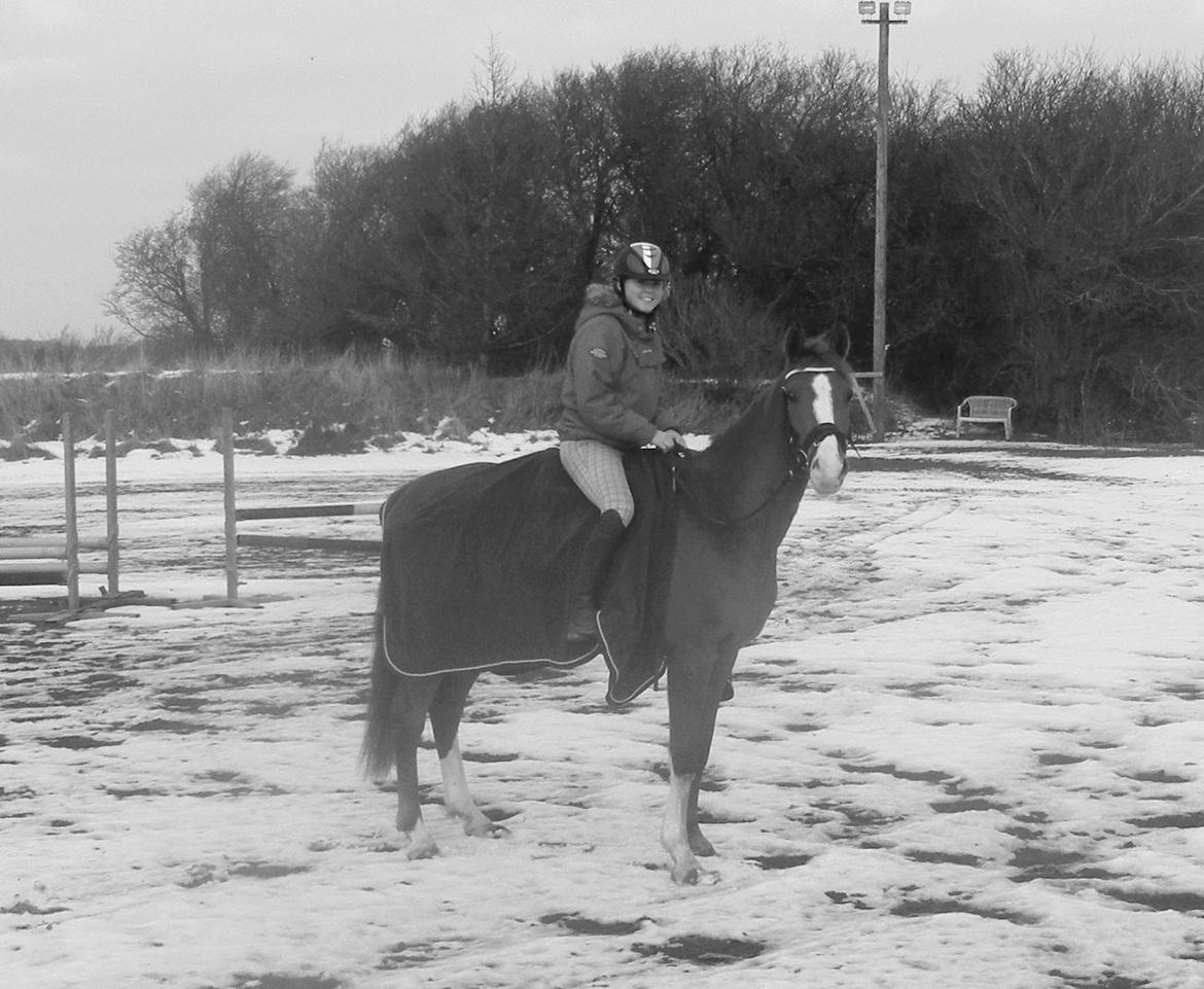 Anden særlig race Havens Astian - en ridetur i sneen  billede 10